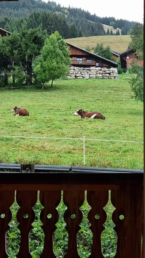 Apartment Les Chalets Du Petit Chatel France