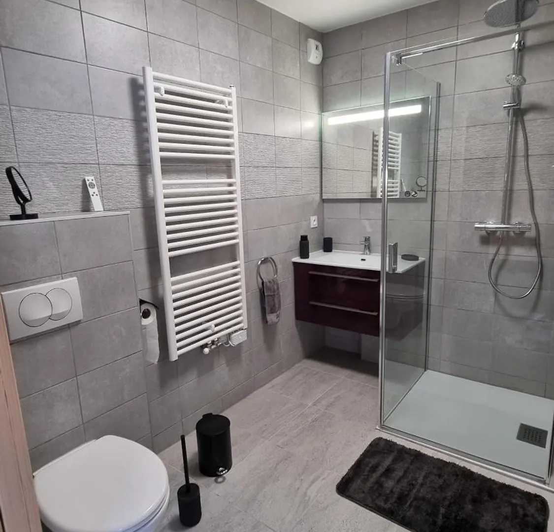 Les Chalets Du Petit Chatel Apartment