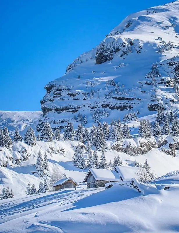 Les Chalets Du Petit Chatel Apartment